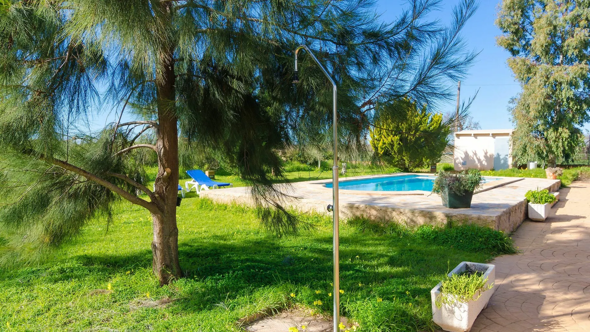 Can Tolo Pocaroba Campos  Spain